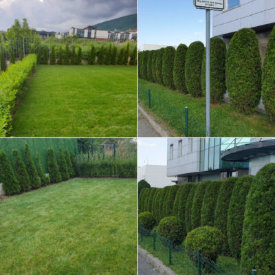 пейзажна_инсталация2, 4seasons.bg